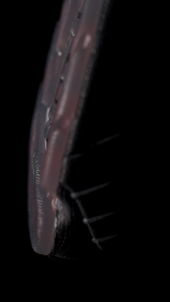 adidas x Puffer Reds adistar "Track 45"