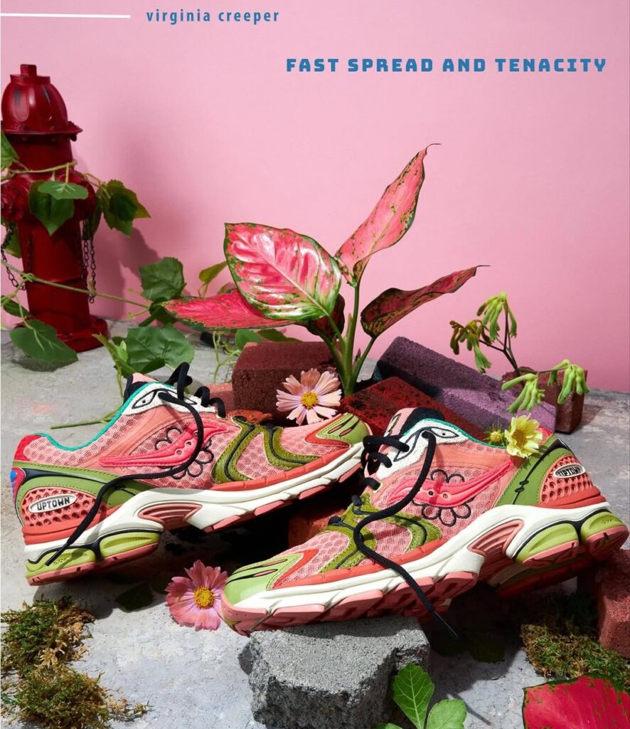 Jae Tips x Saucony ProGrid Triumph "Virginia Creeper" S70966-2