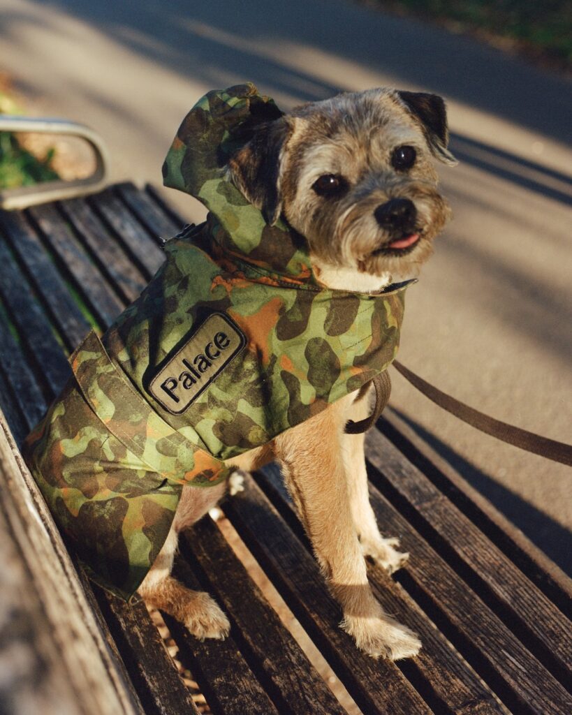 Palace x Barbour Winter 2025