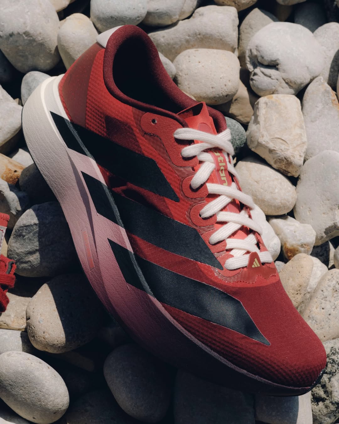 The Whitaker Group x adidas Adizero Evo SL 404 Peachtree 
