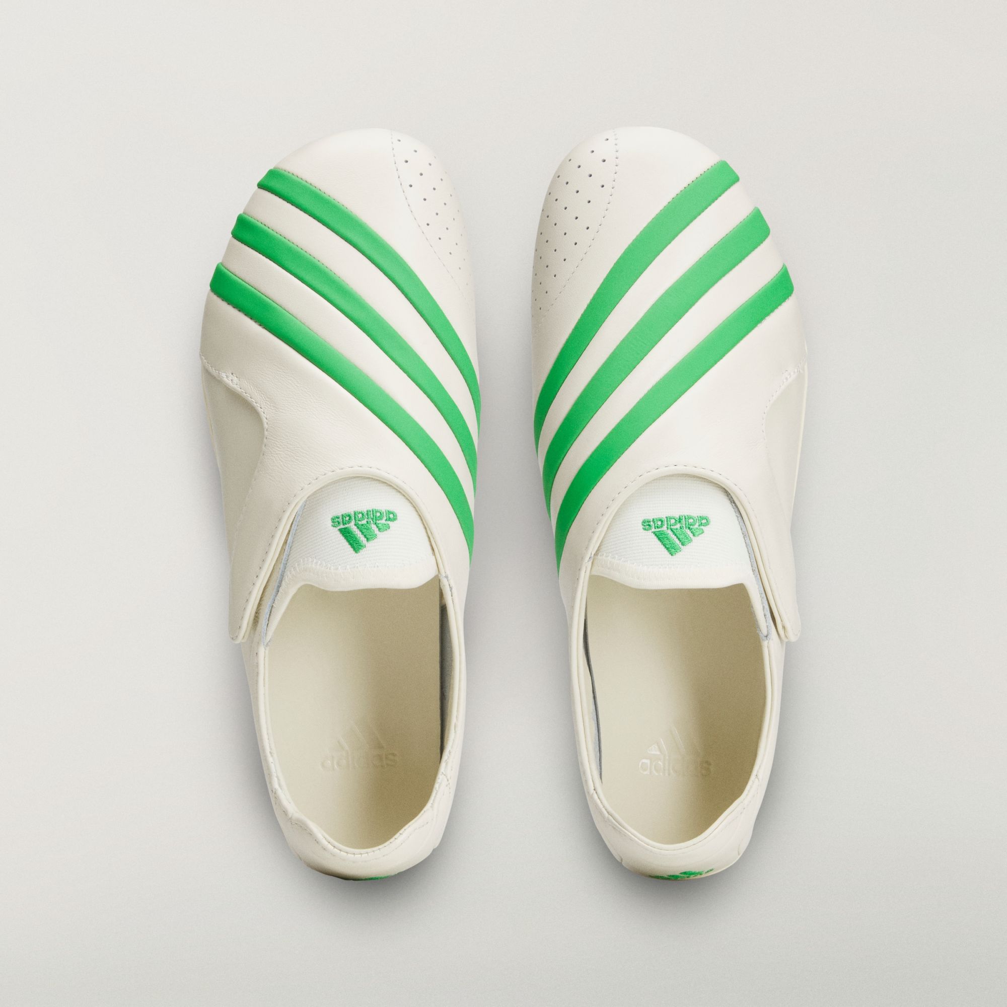 VIRGINIA Vario Flat Earther
