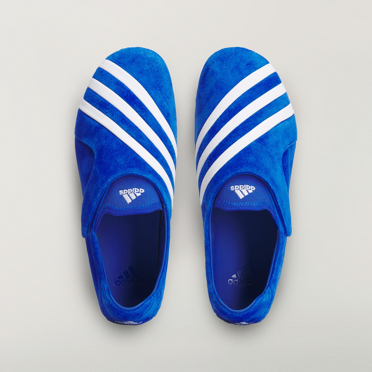 Pharrell x adidas VIRGINIA Vario Flat Earther "Blue"