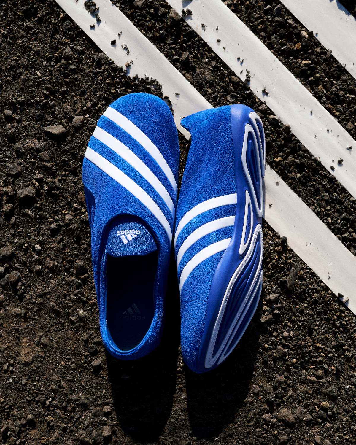 Pharrell x adidas VIRGINIA Vario Flat Earther