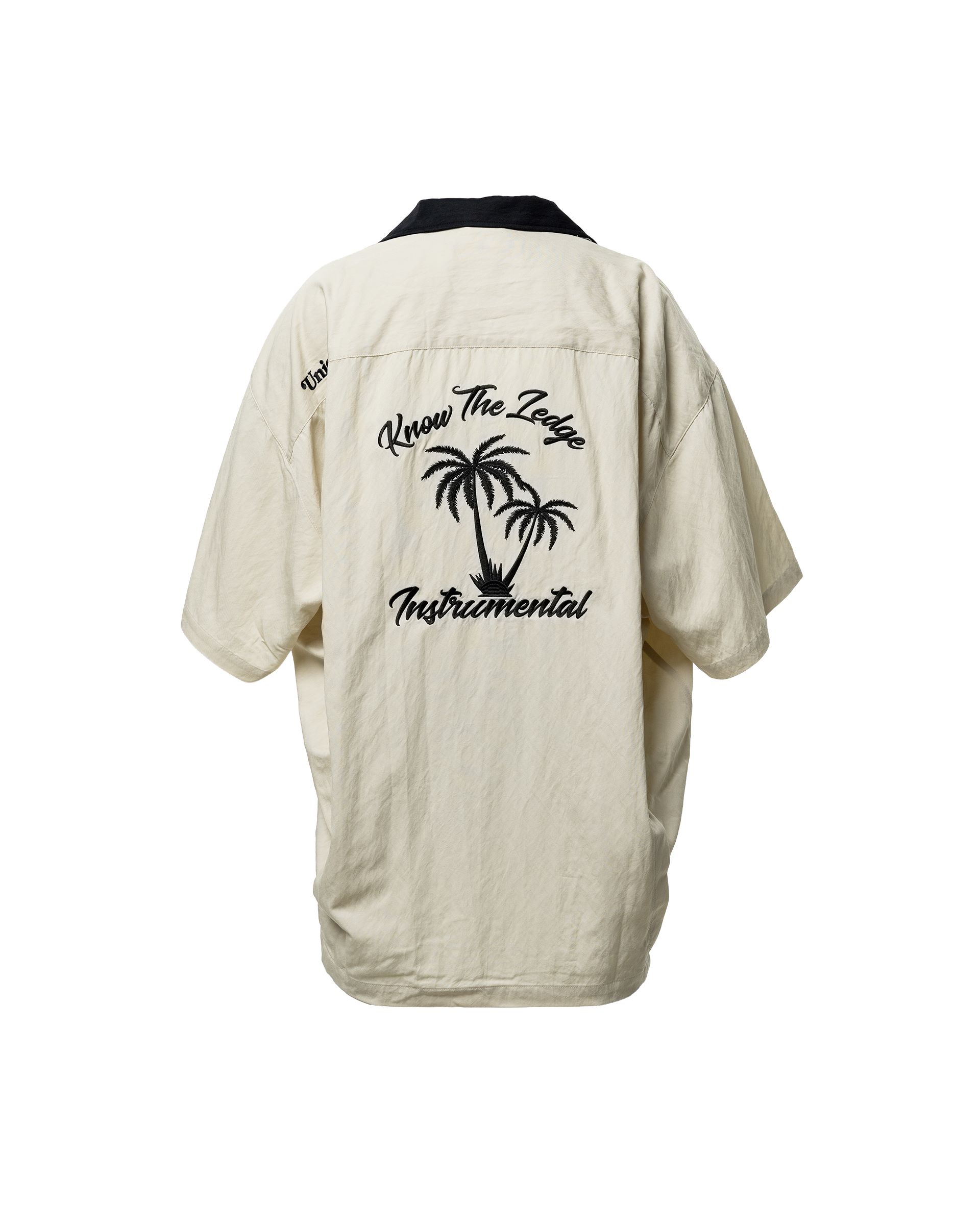 iin・stru(men-tal). x UNION LA